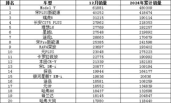 2024年12月汽车销量揭晓