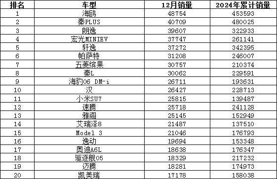 2024年12月汽车销量揭晓